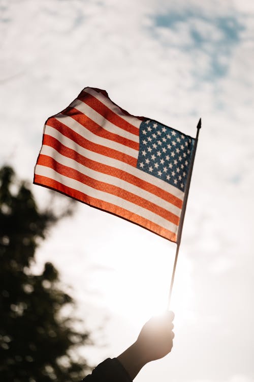 Free Low angle of crop faceless person holding spiky stick with flag of USA under cloudy sky and tree in back lit on blurred background Stock Photo