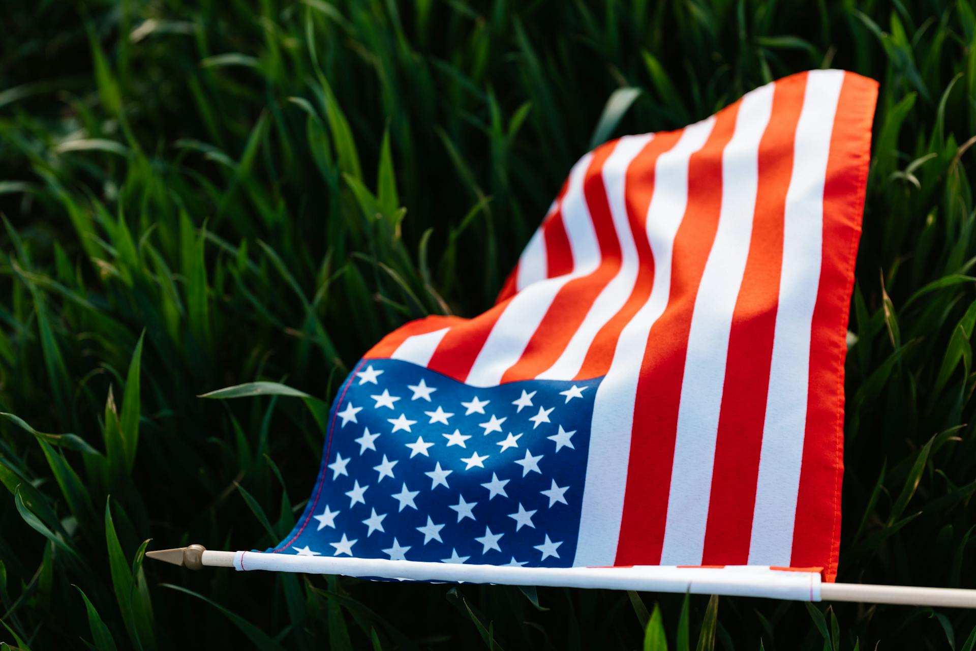 From above of grass with colorful American flag with red and white stripes representing diligence and valor and many stars on blue rectangle