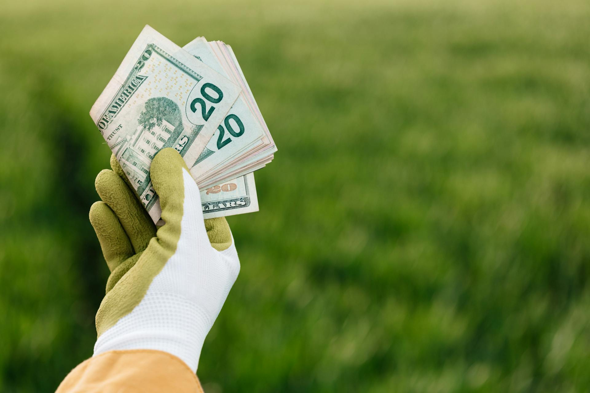 Crop anonymous gardener in gloves showing American paper money with number twenty and photo of building on blurred background with green field in daylight