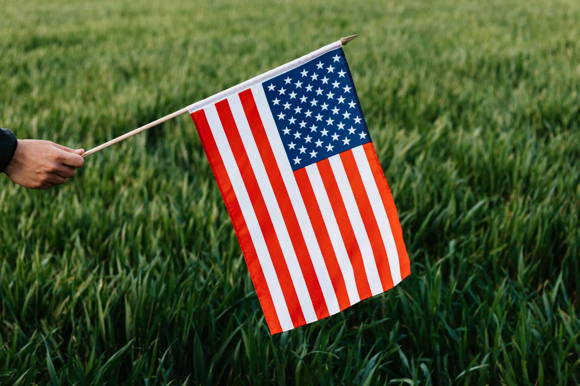 Crop faceless person holding spiky stick with American flag representing stripes and stars of bright colors on field with growing grass in daylight