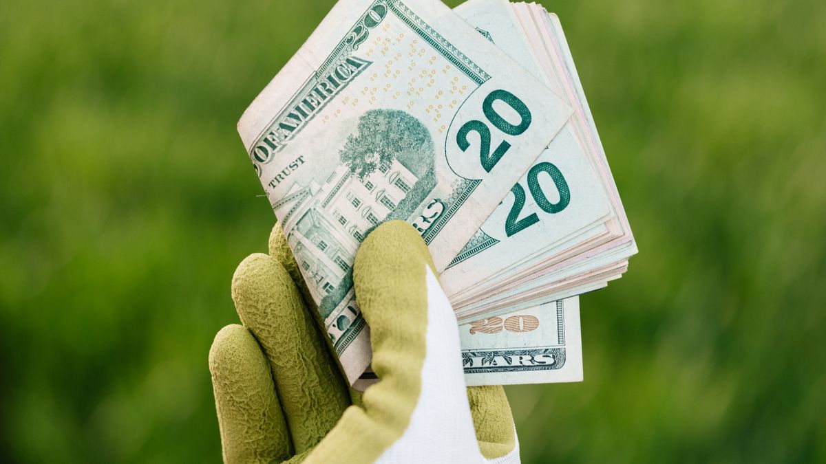 Comment investir dans des entreprises éthiques