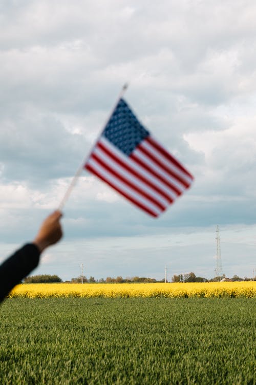 Crop unrecognizable patriot raising flag of USA on bright field