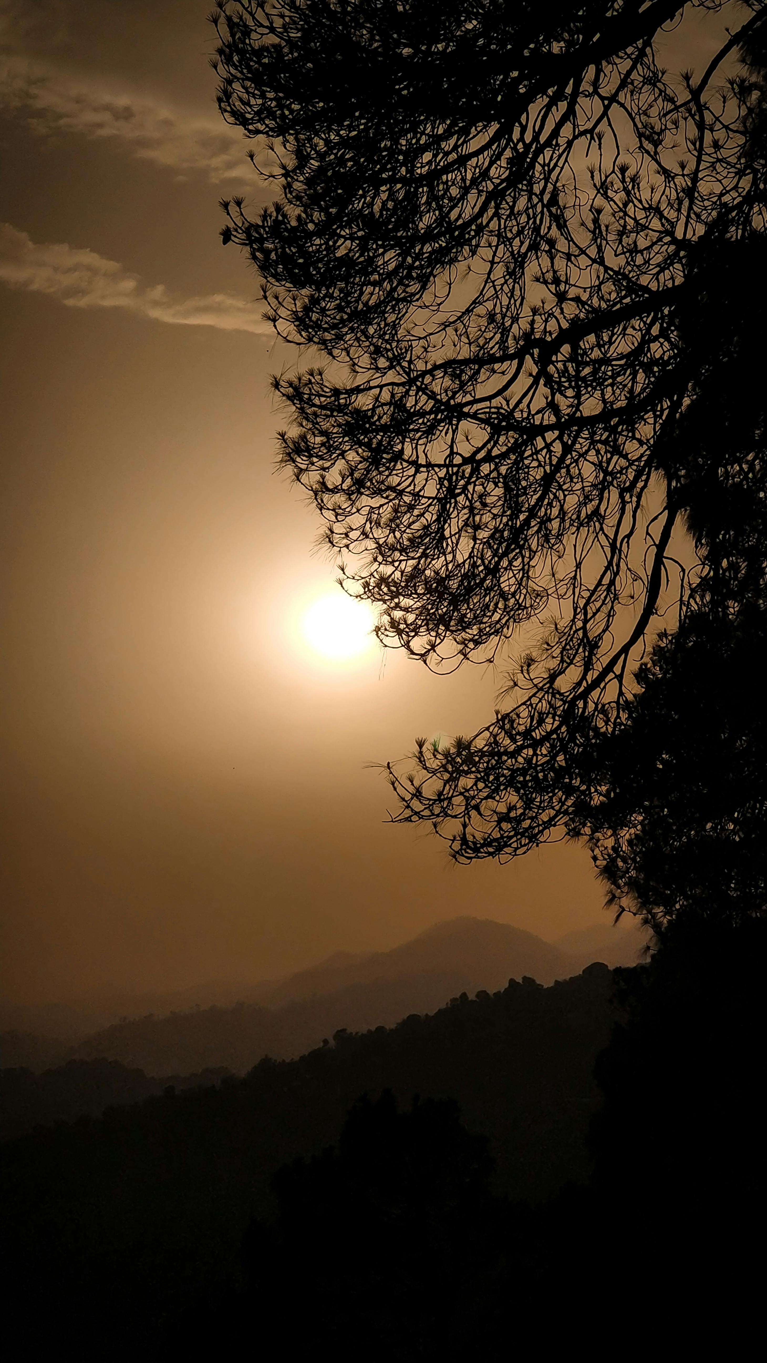 Durban office location