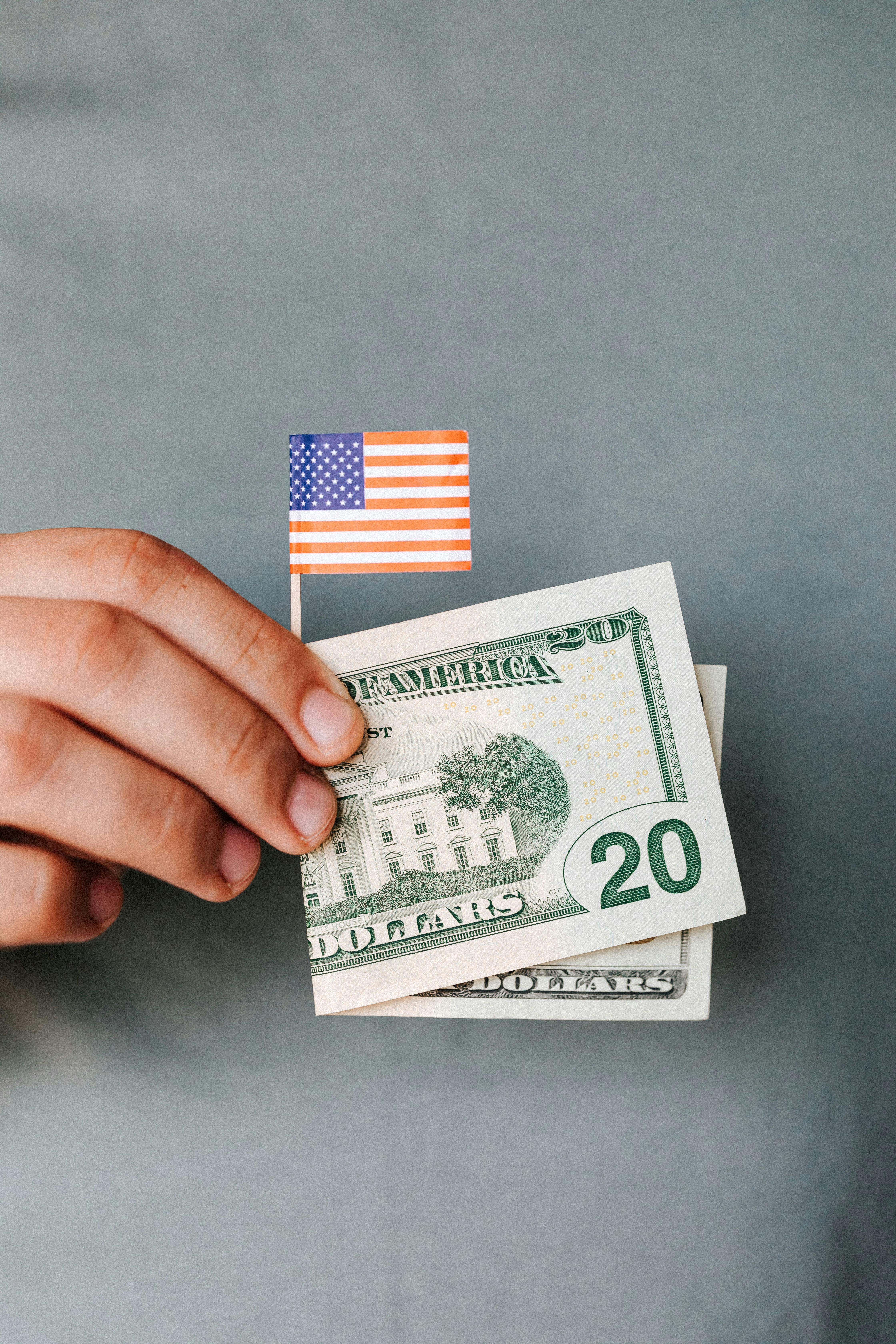 crop faceless man demonstrating dollar banknote and small usa flag