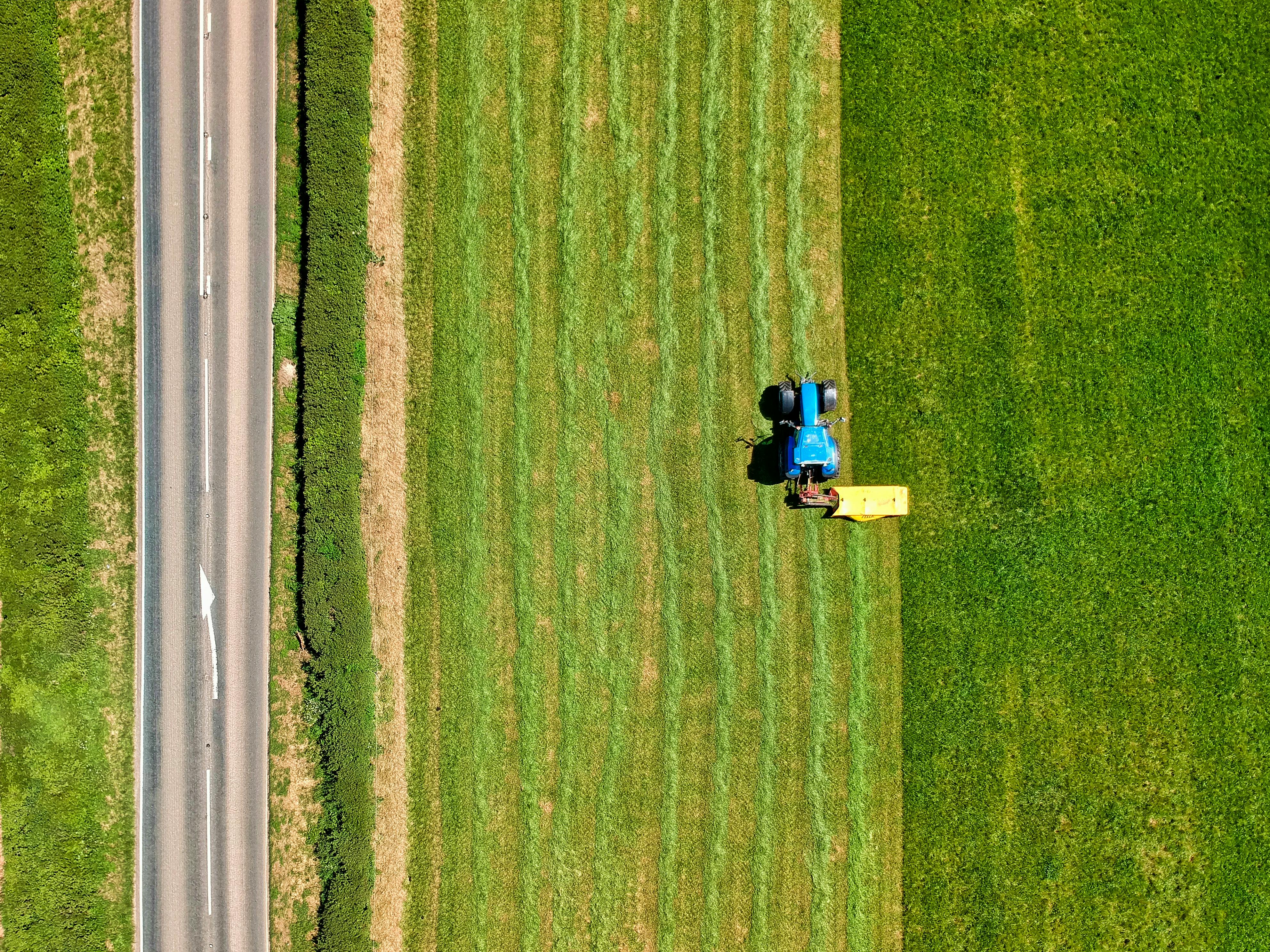 blue tractor trunk on cropland