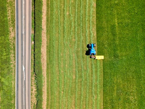 Blue Tractor Trunk on Cropland 