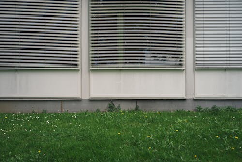 Free stock photo of building, grass, green