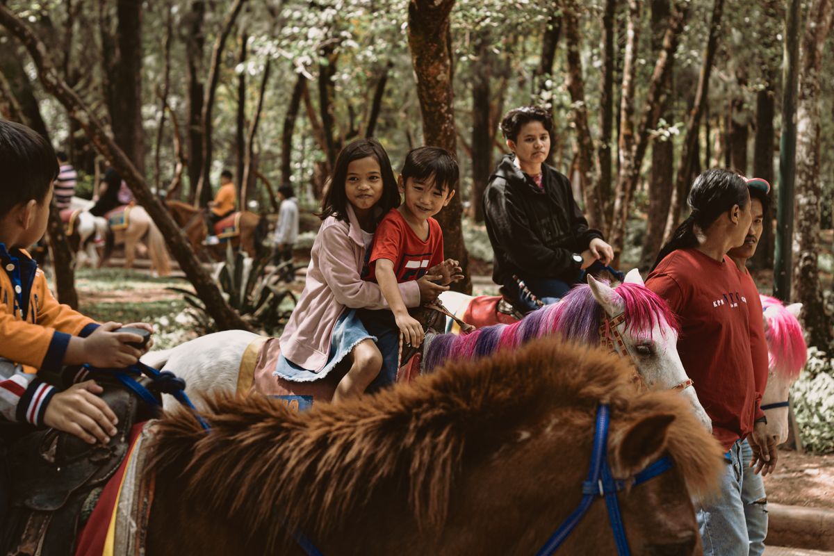 Kids on ponies in the woods