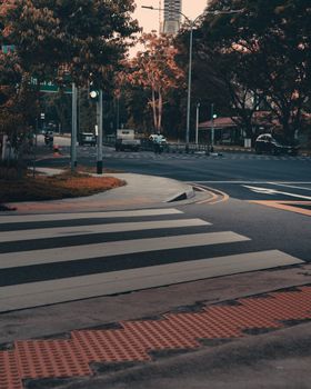 Exterior of modern green city street with crosswalk at intersection with traffic light and transport