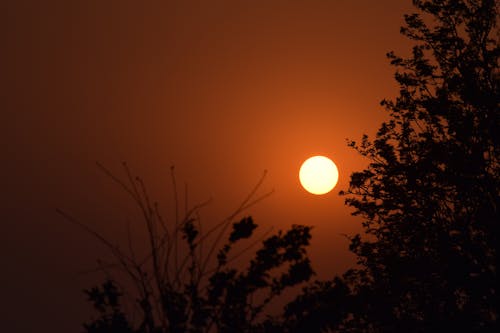 Kostenloses Stock Foto zu baum, nepal, sonne