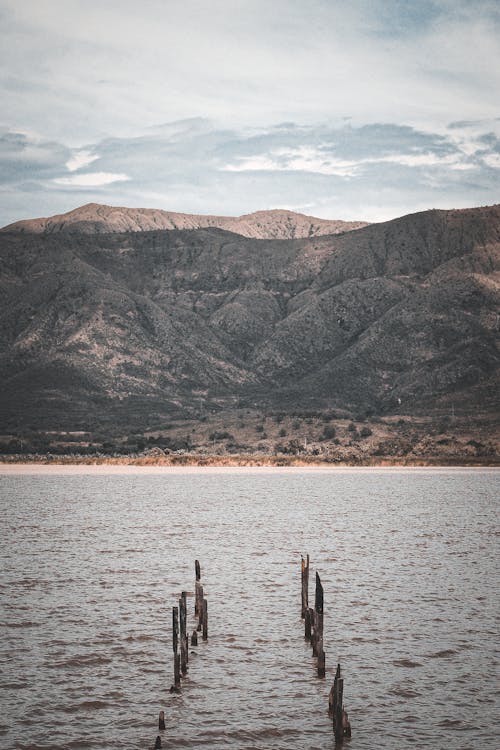 Imagine de stoc gratuită din brun, lago, Montana