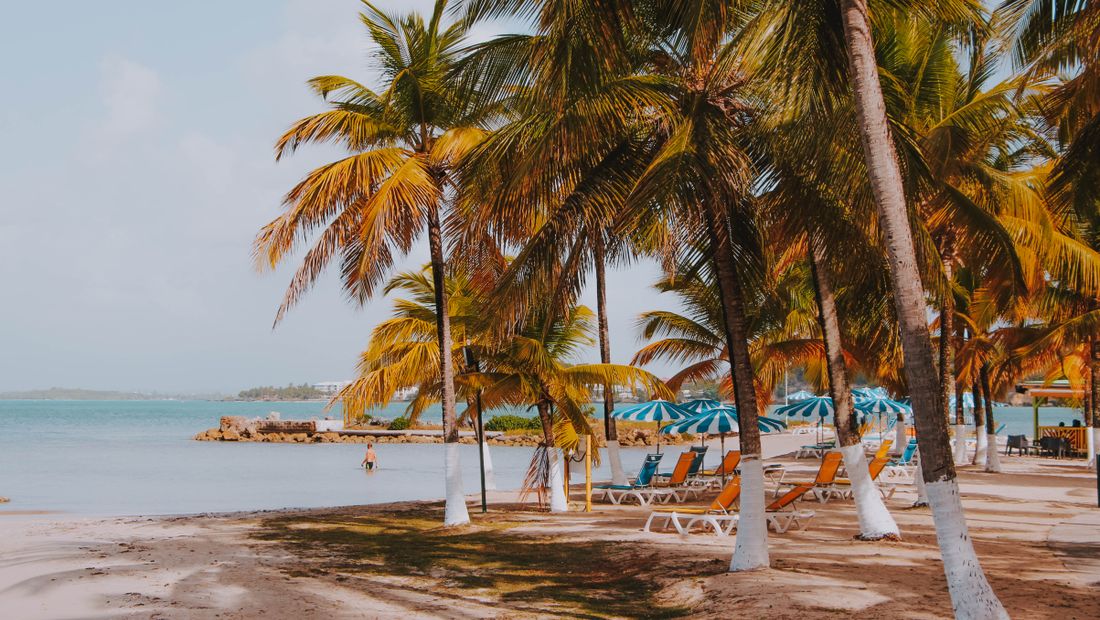 Île tropicale typique d'une escale caribéenne : la promesse marketing rencontre rarement la réalité d'une escale de 6 heures.