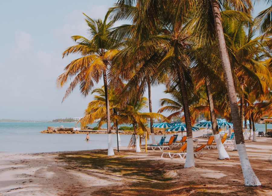 Relaxing tropical beach in Guadeloupe with palm trees and sun loungers under umbrellas.