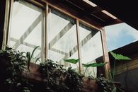 A charming exterior view of a wooden house with glass windows surrounded by lush plants, showcasing rustic architecture.