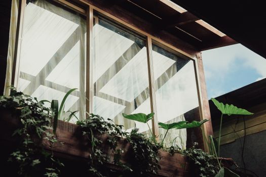 A charming exterior view of a wooden house with glass windows surrounded by lush plants, showcasing rustic architecture.