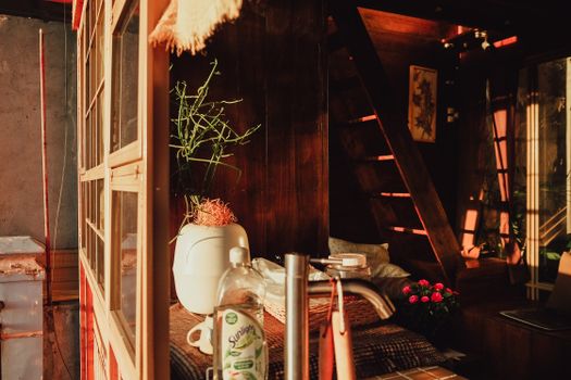 Warm sunlight fills a wooden interior with charming decor and houseplants.