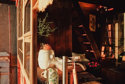 Warm sunlight fills a wooden interior with charming decor and houseplants. — Dương Nhân on Pexels