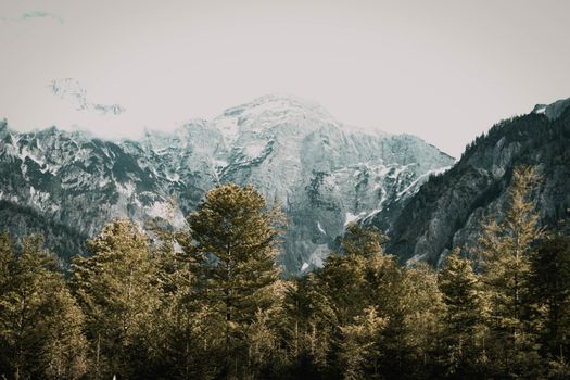 Scenery view of rough mounts covered with snow near growing trees under sky in daytime