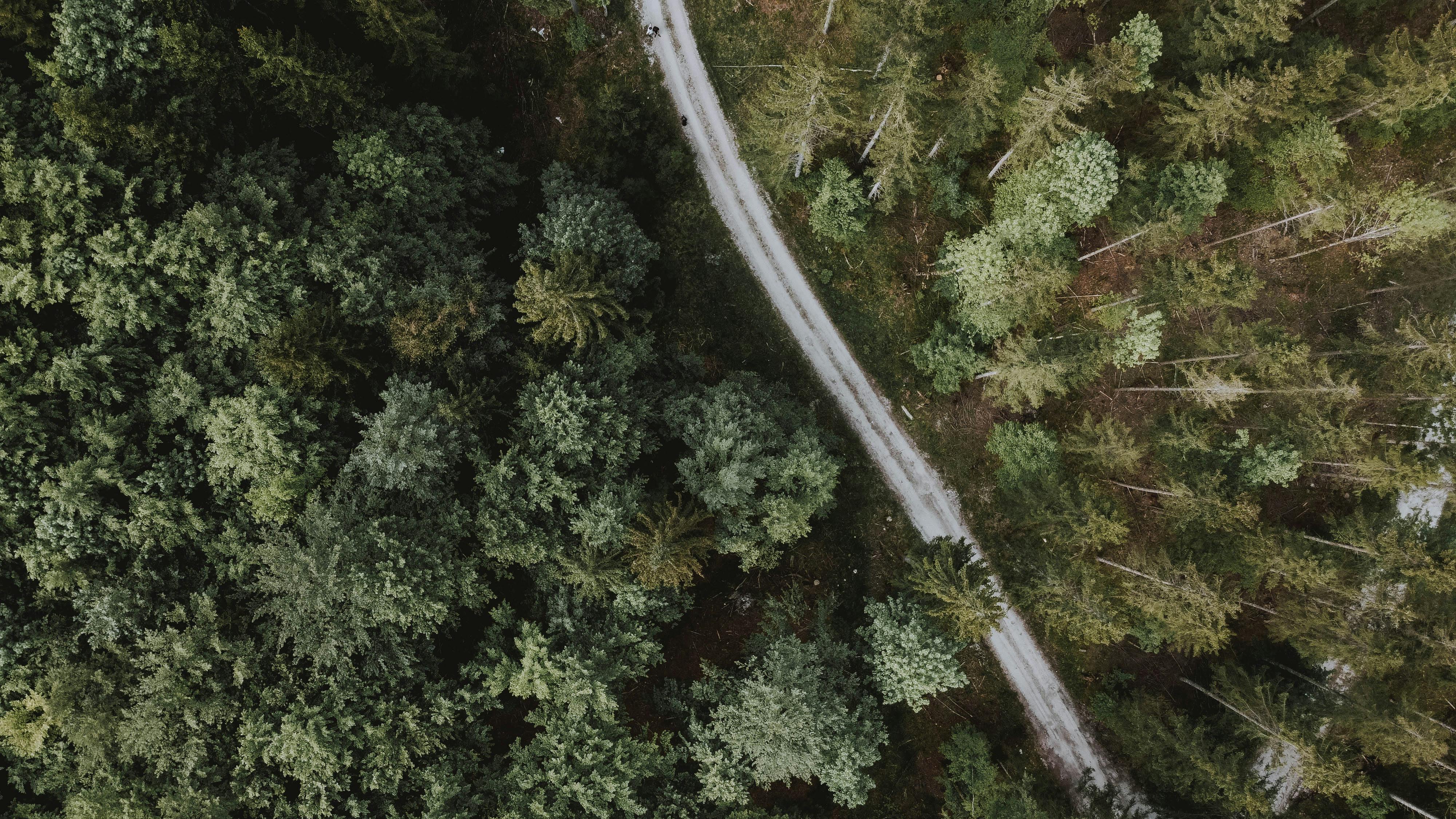 corporate governance esg esg governance examples — Photo by lil artsy on Pexels