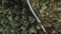 Aerial view of empty roadway between woods with growing green trees in summer in daylight