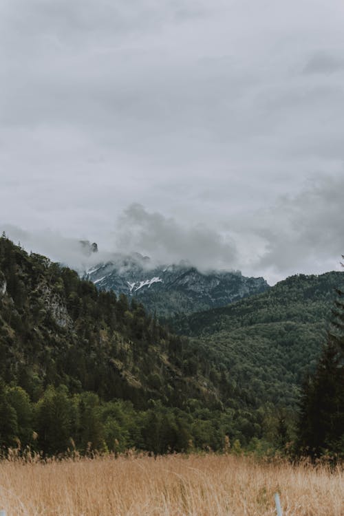 Green mountains near faded grass under sky on foggy day