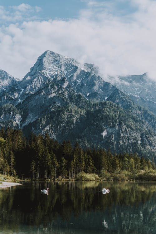 Free Pond near high mounts under cloudy sky Stock Photo