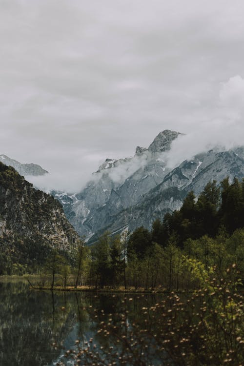 Lake with leaves near mountains under clouds on foggy day