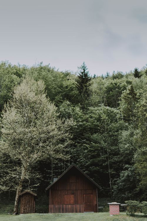 Free From below of wooden building on grass meadow near growing green trees under cloudy sky Stock Photo