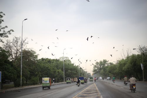 날씨, 도로, 시원한의 무료 스톡 사진