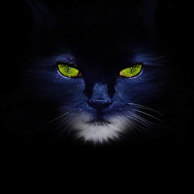 Piring Delft Belanda