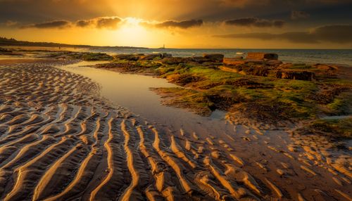 Free Picturesque from above view of uneven sandy terrain near ocean illuminated by colorful cloudy sky at sunset in twilight Stock Photo