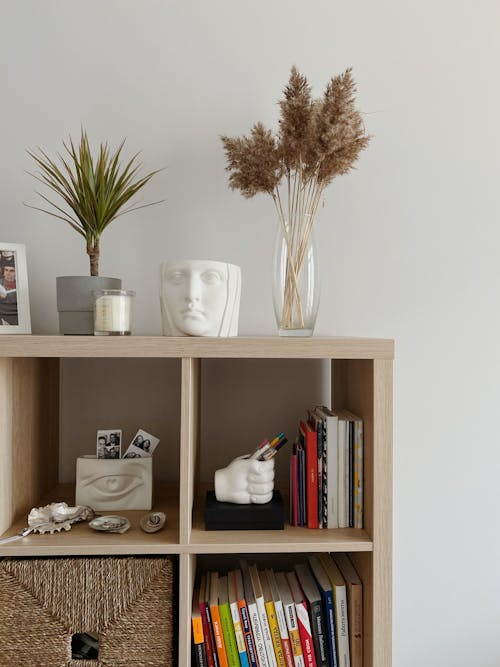 Minimalist bookshelf decorated with plants and souvenirs