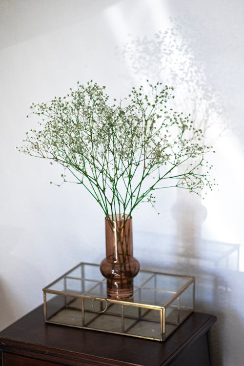 Green Plant on Brown Glass Vase