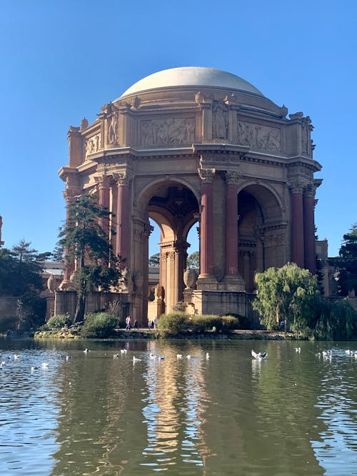 Fotobanka s bezplatnými fotkami na tému husi, Kalifornia, palác výtvarných umení