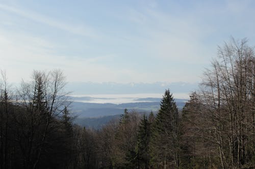 Fotobanka s bezplatnými fotkami na tému hmla, hory, krajina