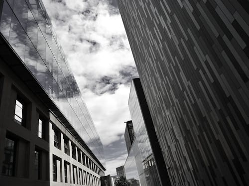 Fotobanka s bezplatnými fotkami na tému budovy, čiernobiely, čierny a biely