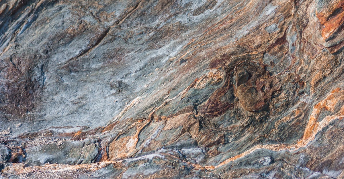 Distance phoenix to Sedna to Grand canyon