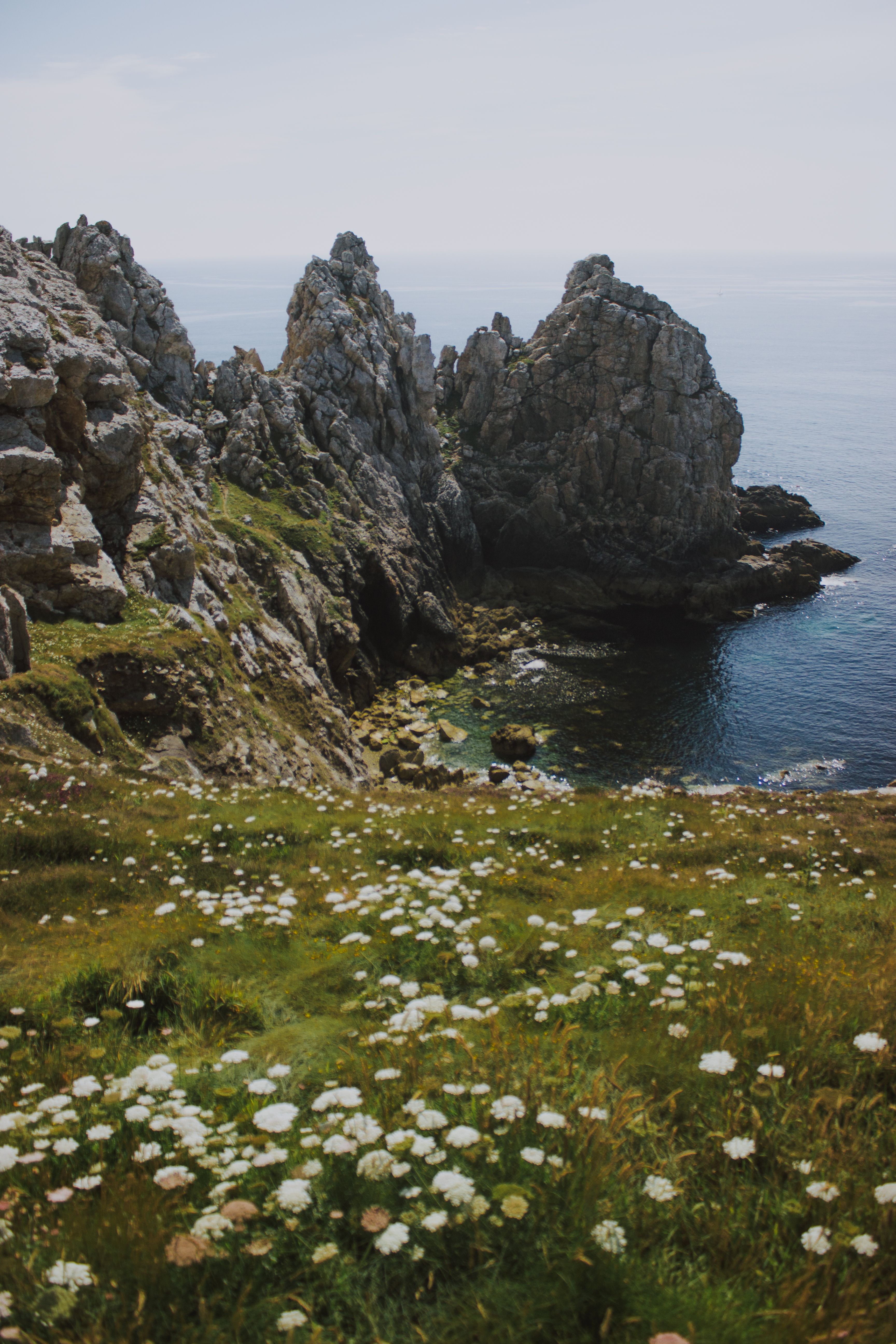 Picturesque scenery of blooming meadow and rocky shore near sea against blue sky