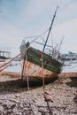Weathered fishing boat moored with dirty ropes on beach on sunny day in port