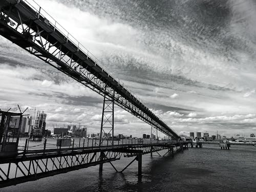 Grayscale Photo of Bridge Surrounded by Body of Water