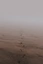 Gloomy scenery of human footprints on wet sand at seaside on foggy day