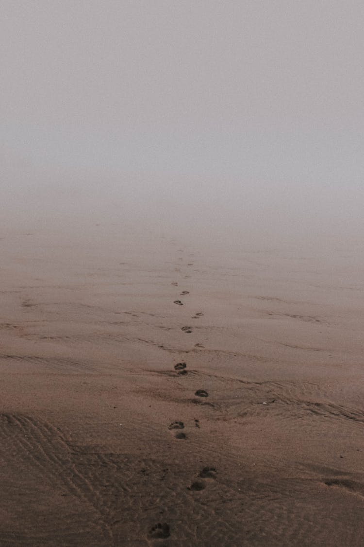 Traces On Sand On Beach