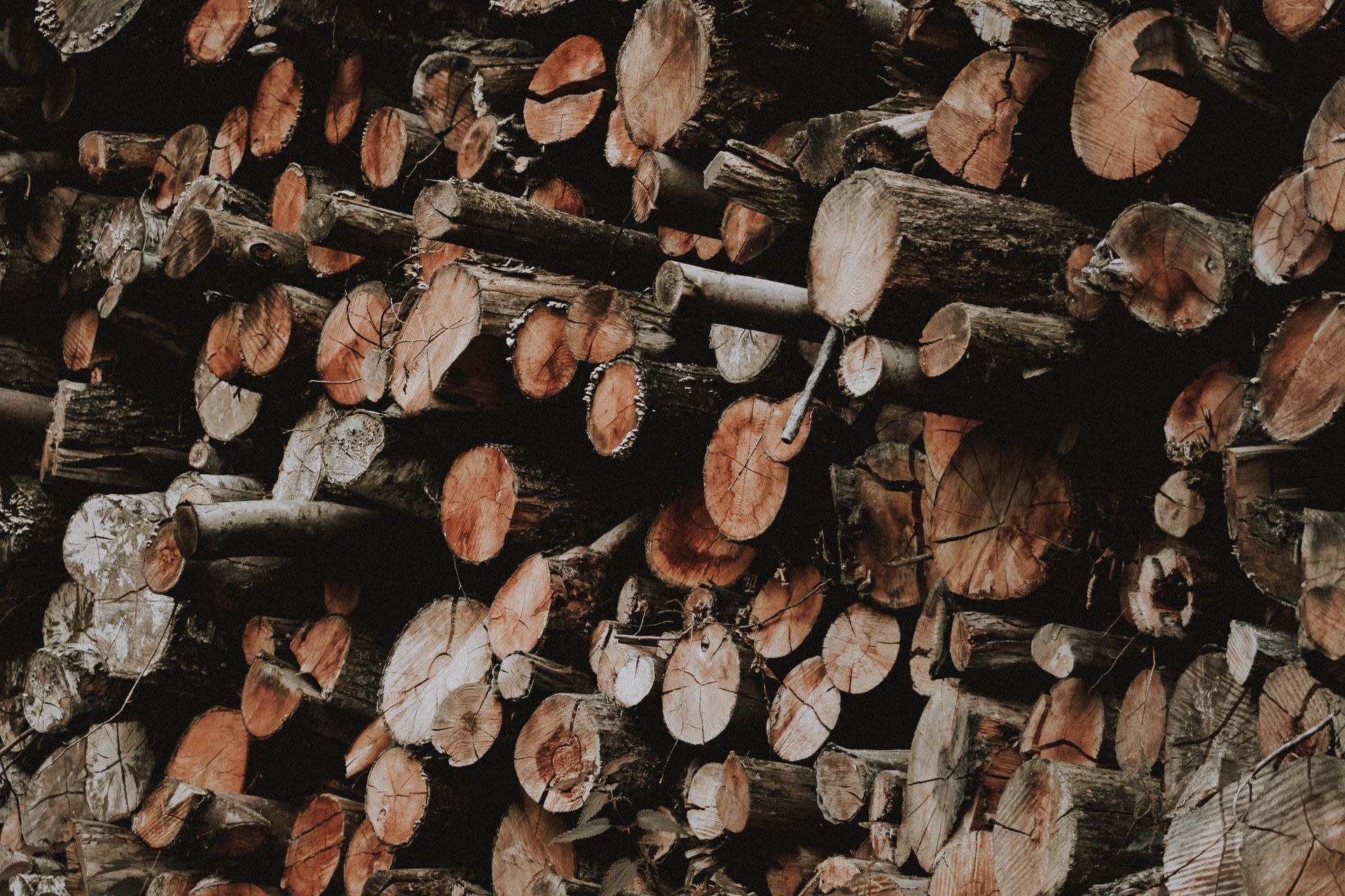 A rustic pile of weathered timber logs stacked outdoors, ideal for nature backgrounds and textures.