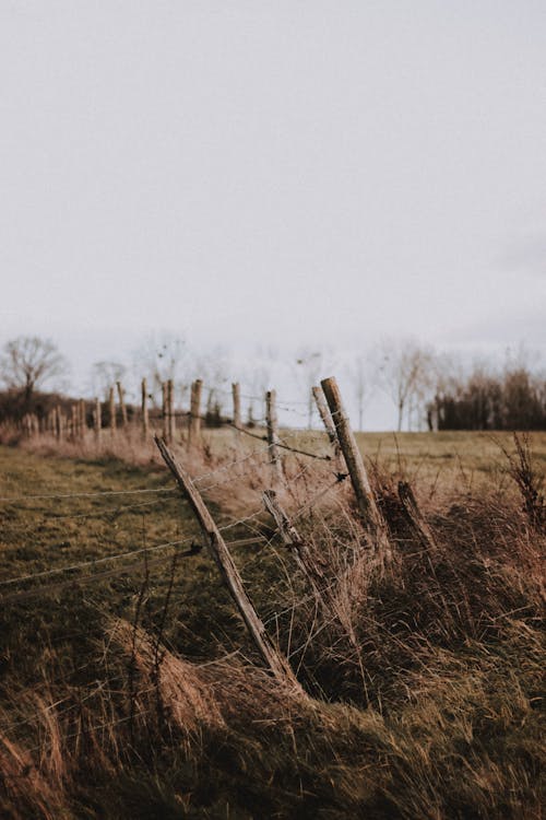 Shabby rustic barrier located on dry grassy meadow near leafless trees against cloudy sky