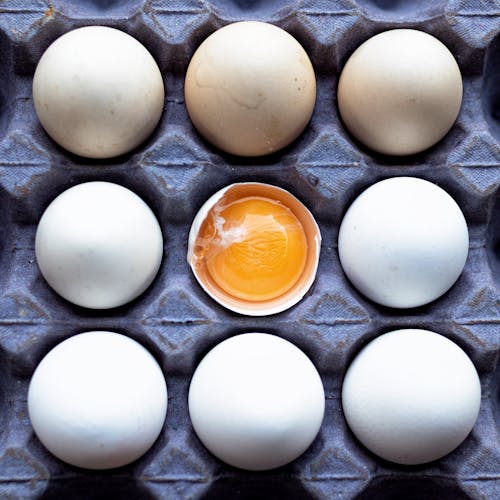 Cardboard Egg Mold with a Broken Egg in the Middle