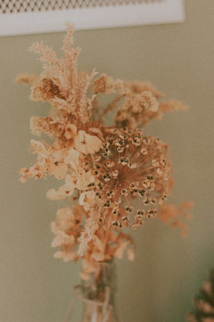 Dry fragile beige flowers and grass in bright room decorated with pastel colors in daylight