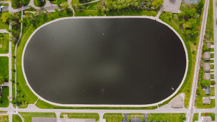 Dark Oval Pond In Park