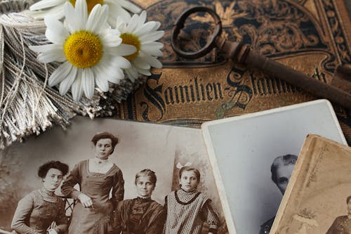 Gratis arkivbilde med blomst, familie bilde, gamle bilder