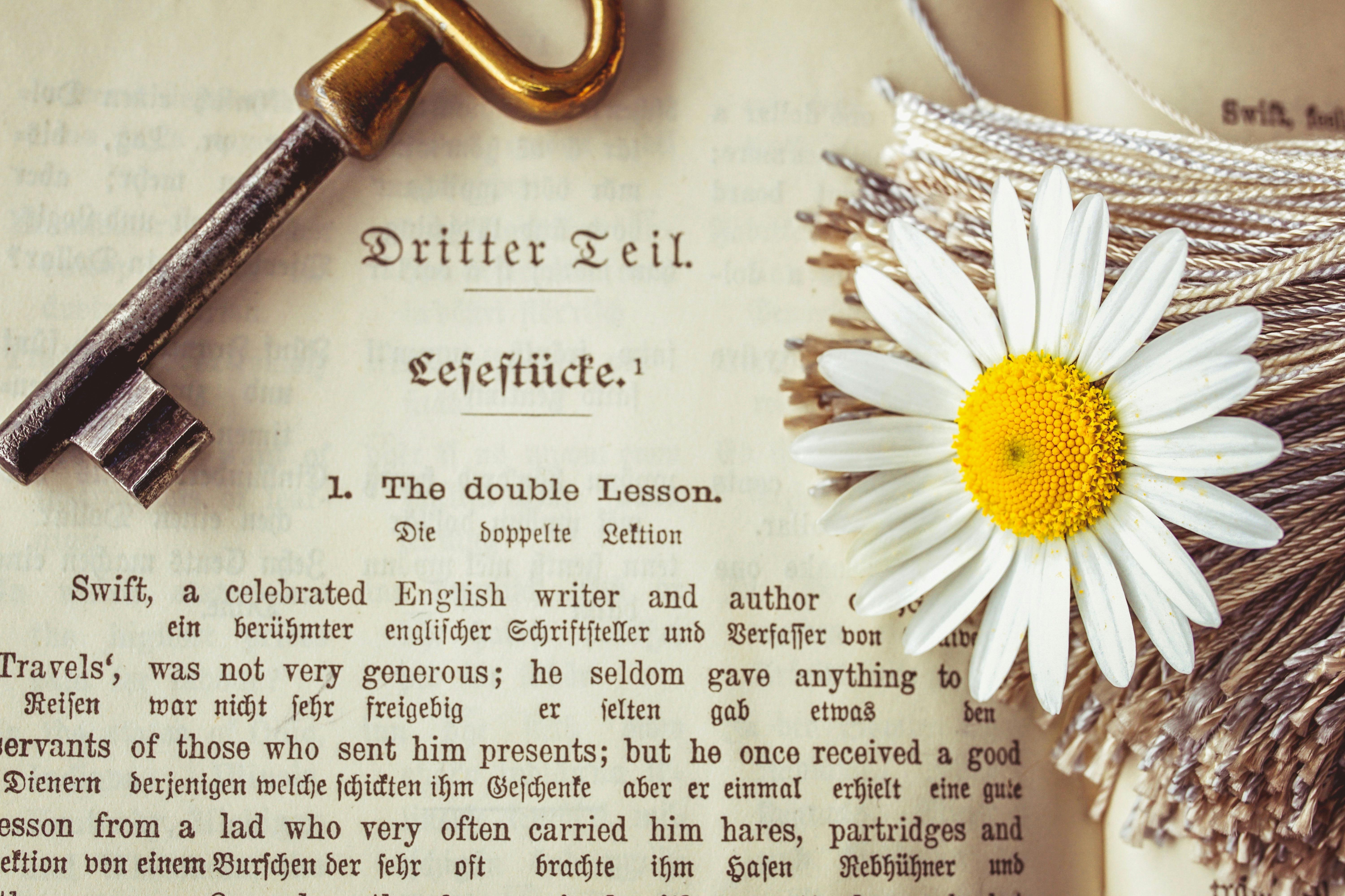 Unveiling the Unexpected: Key Plot Twists in Keshari Chapter 2 That Will Leave You Breathless