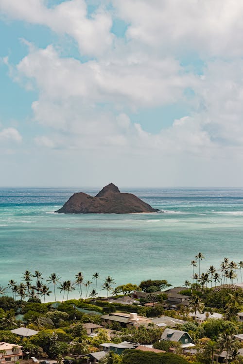 A Tropical Landscape